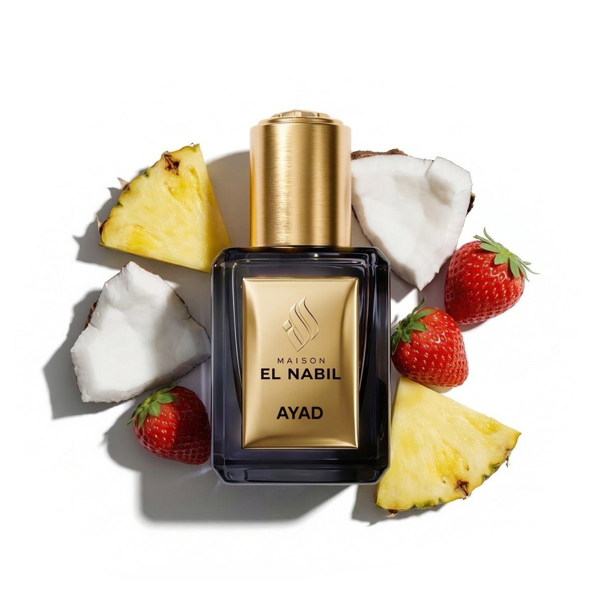 AYAD — Maison El Nabil