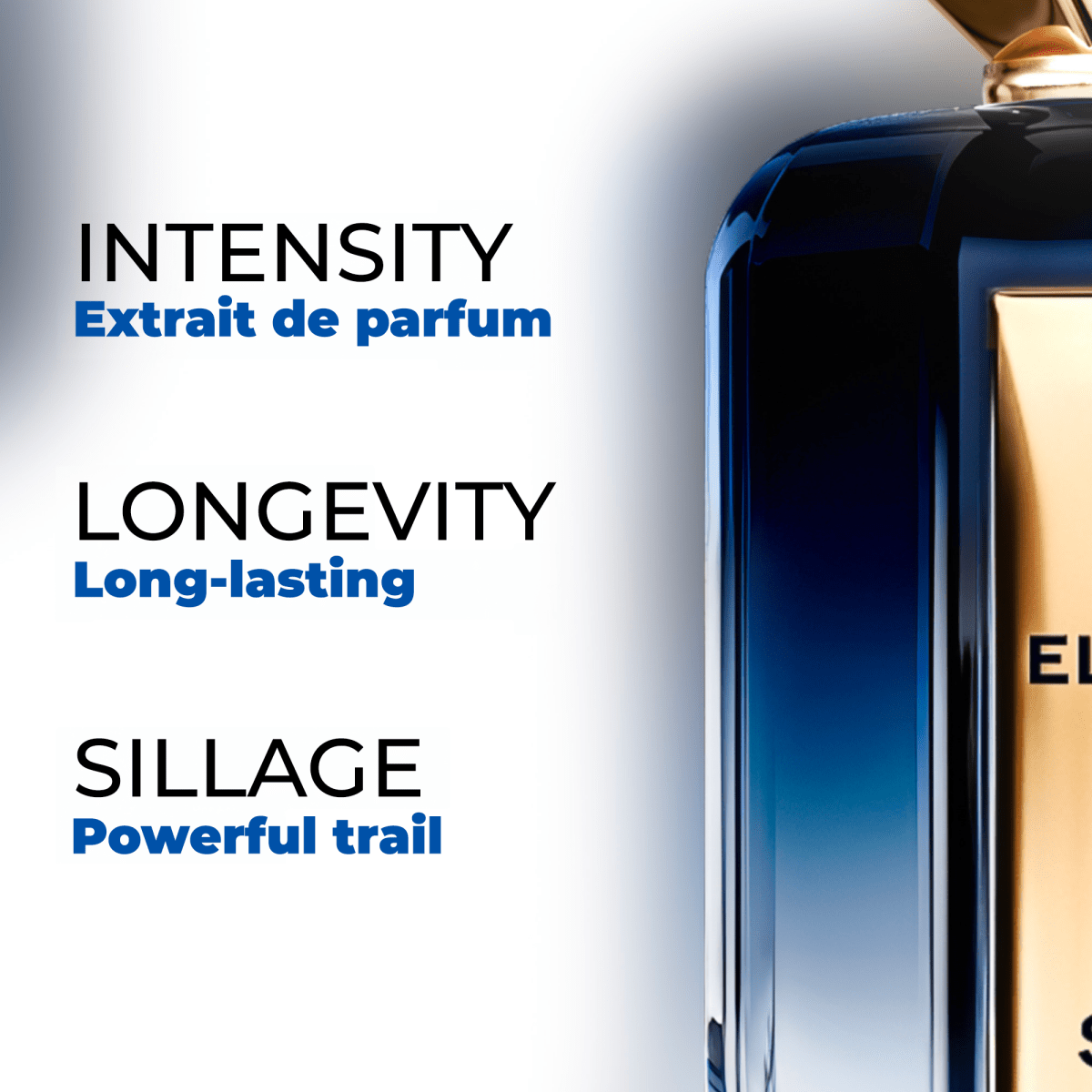 BLUE SUGAR — Maison El Nabil