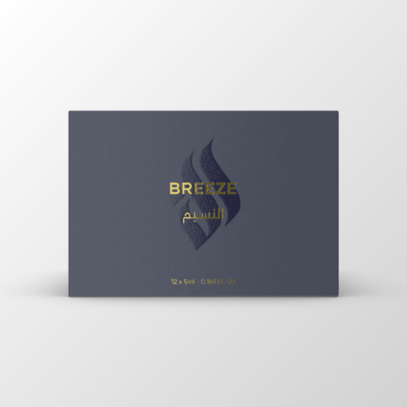 BREEZE — Maison El Nabil