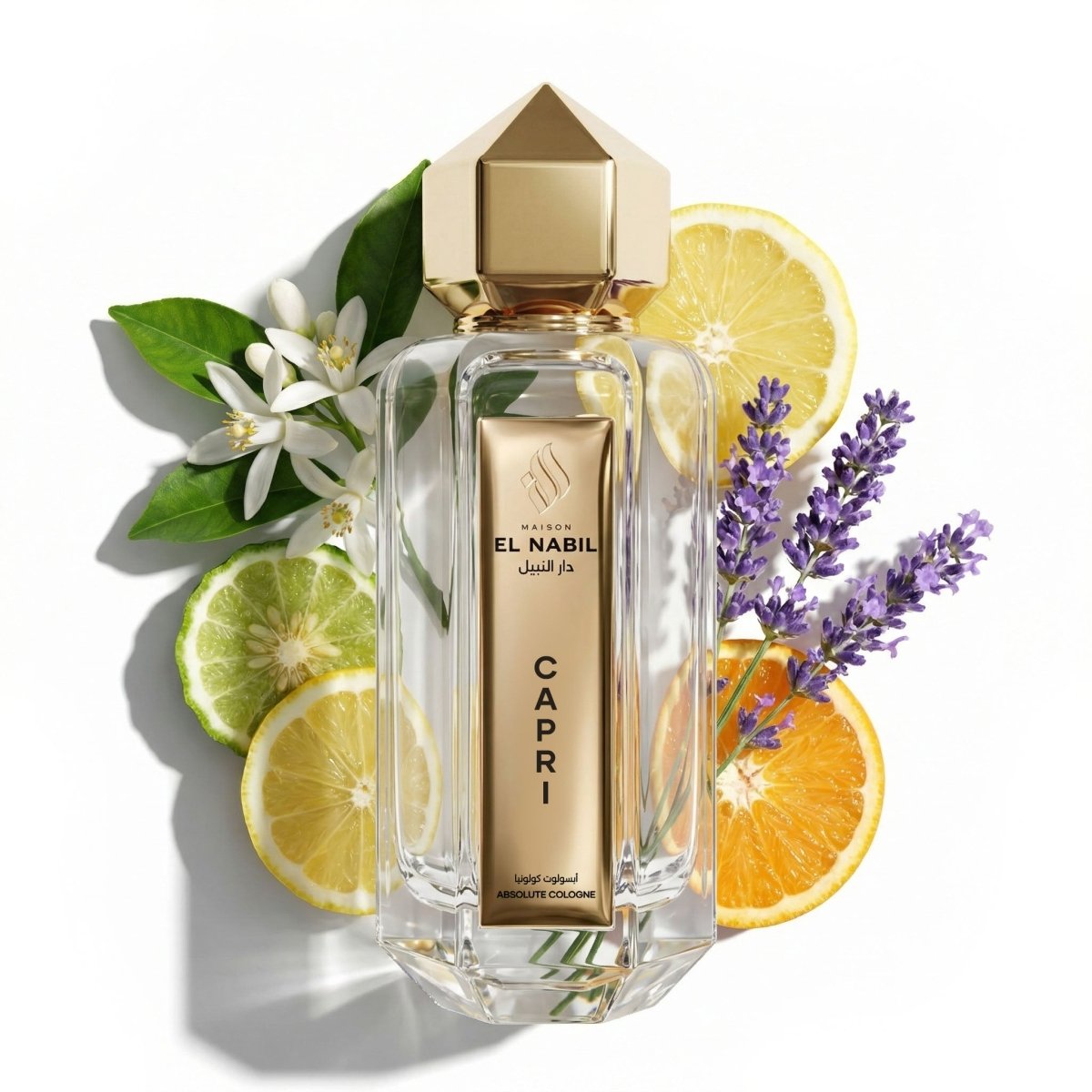 CAPRI — Maison El Nabil