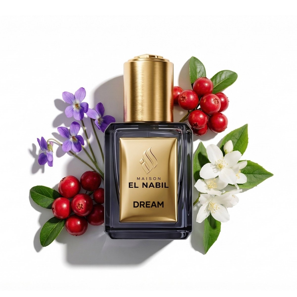 DREAM — Maison El Nabil