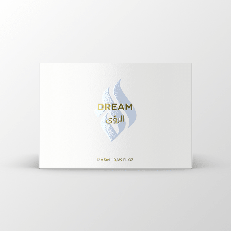 DREAM — Maison El Nabil