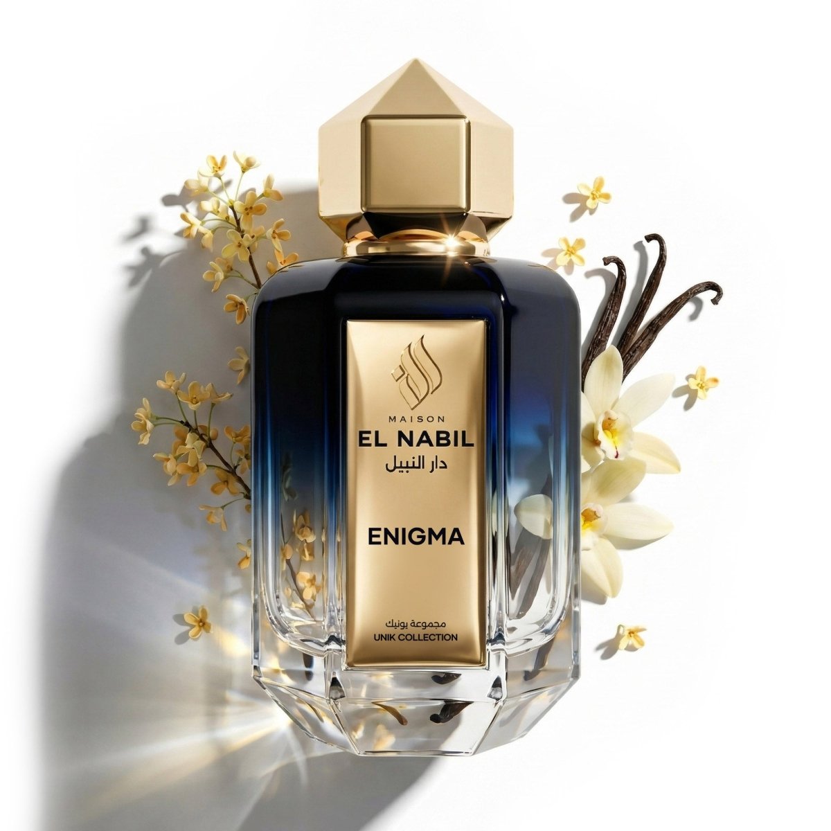 ENIGMA - Maison El Nabil - Europe