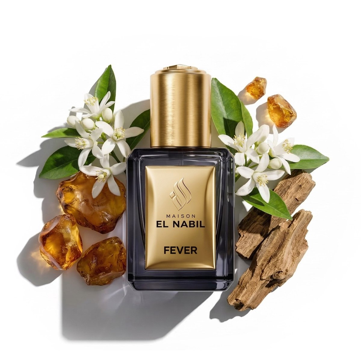 FEVER — Maison El Nabil