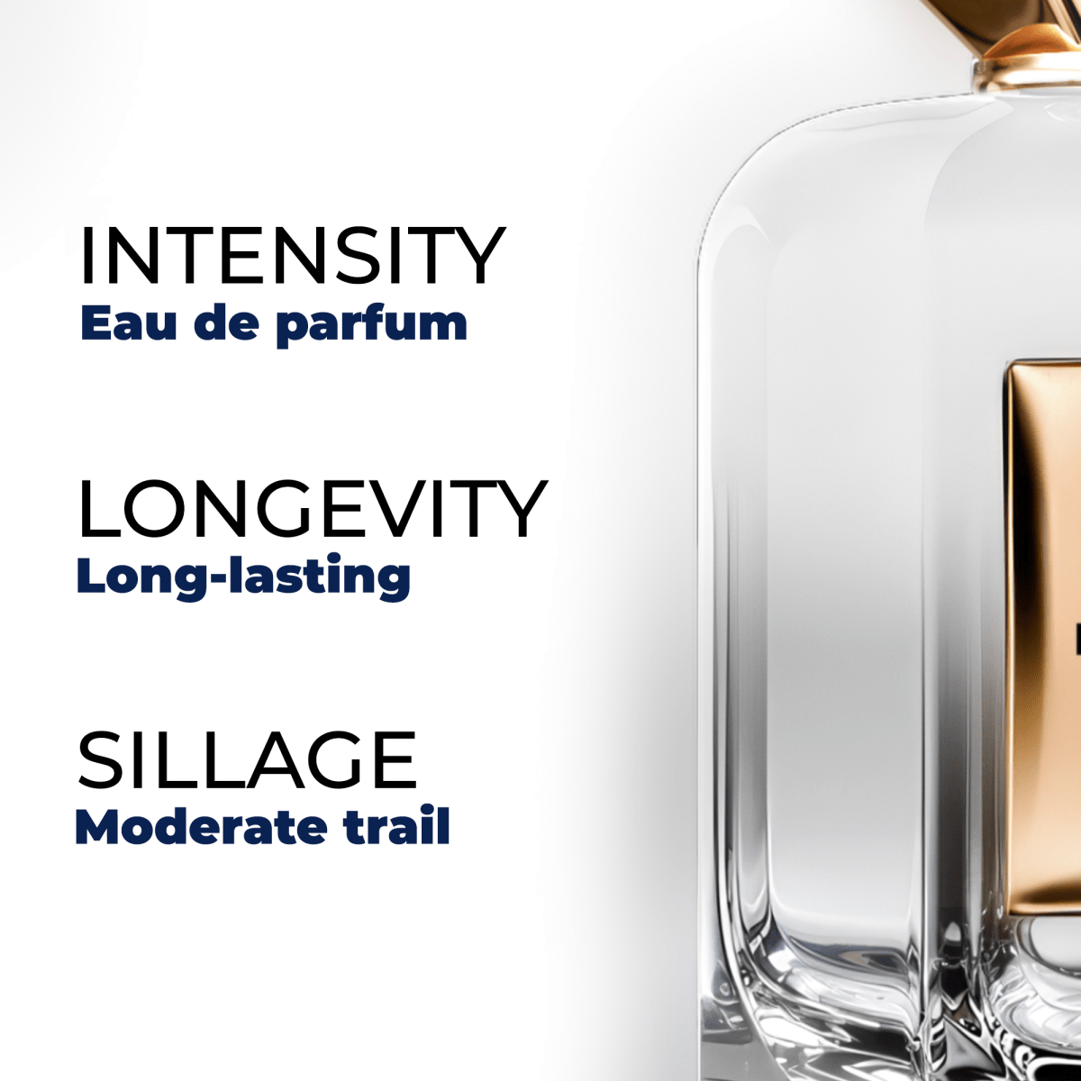 INTENSE — Maison El Nabil