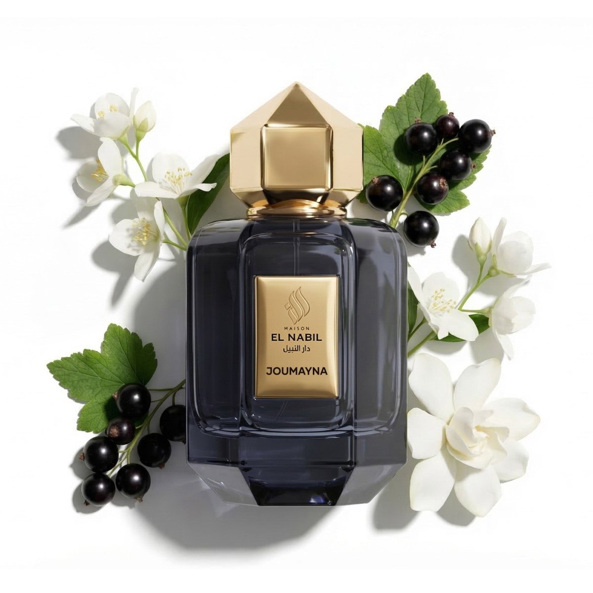 JOUMAYNA — Maison El Nabil