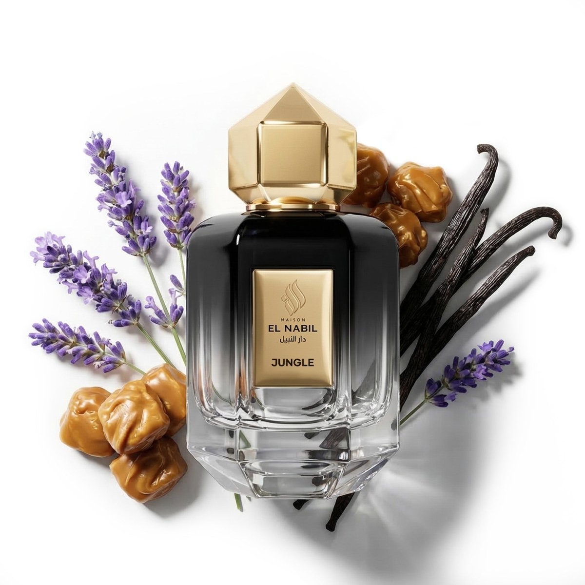 JUNGLE — Maison El Nabil