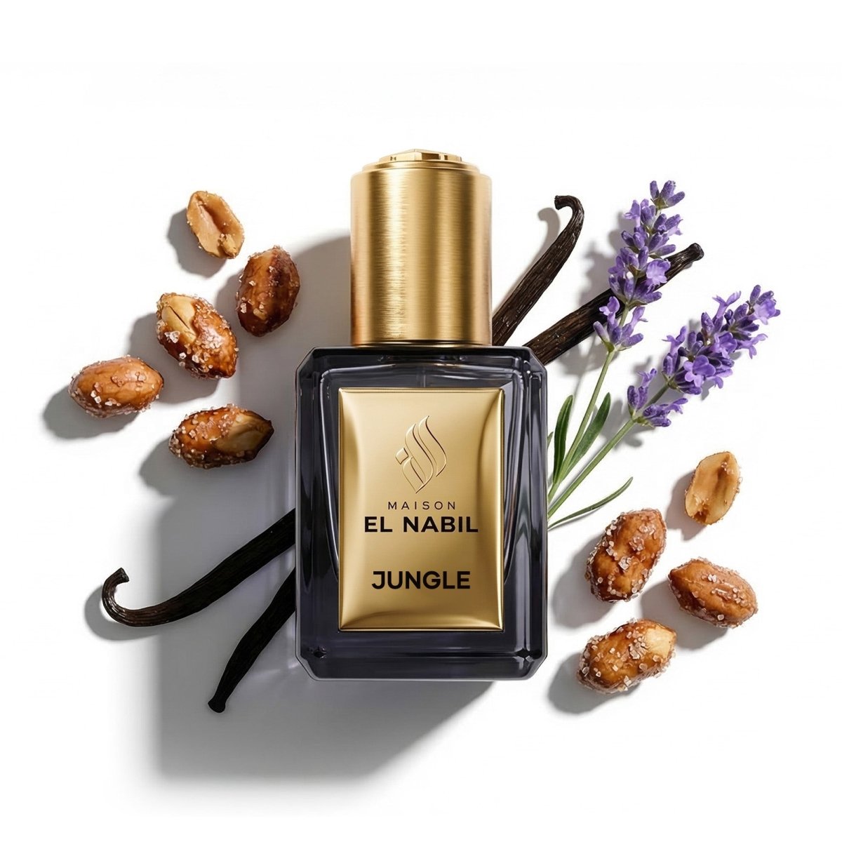 JUNGLE — Maison El Nabil