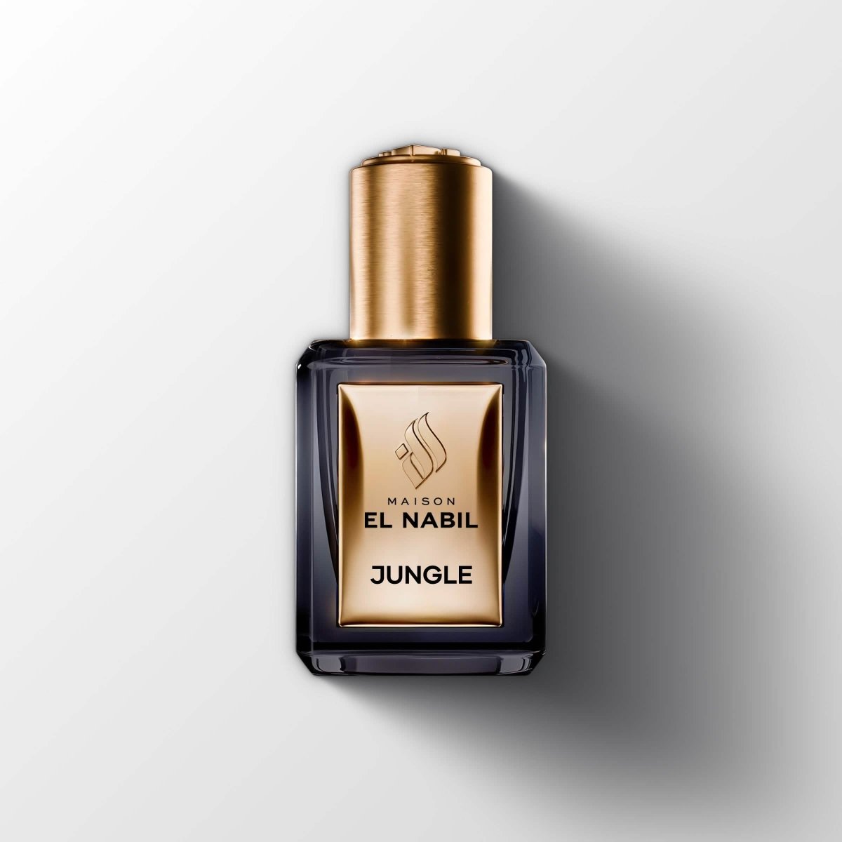 JUNGLE — Maison El Nabil