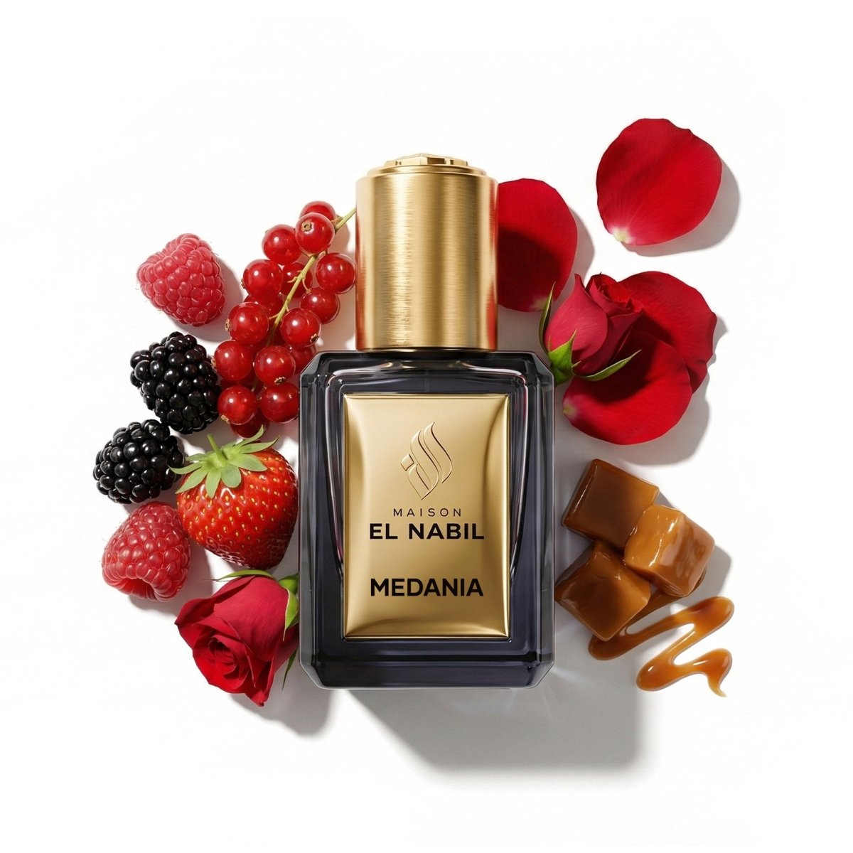 MEDANIA — Maison El Nabil