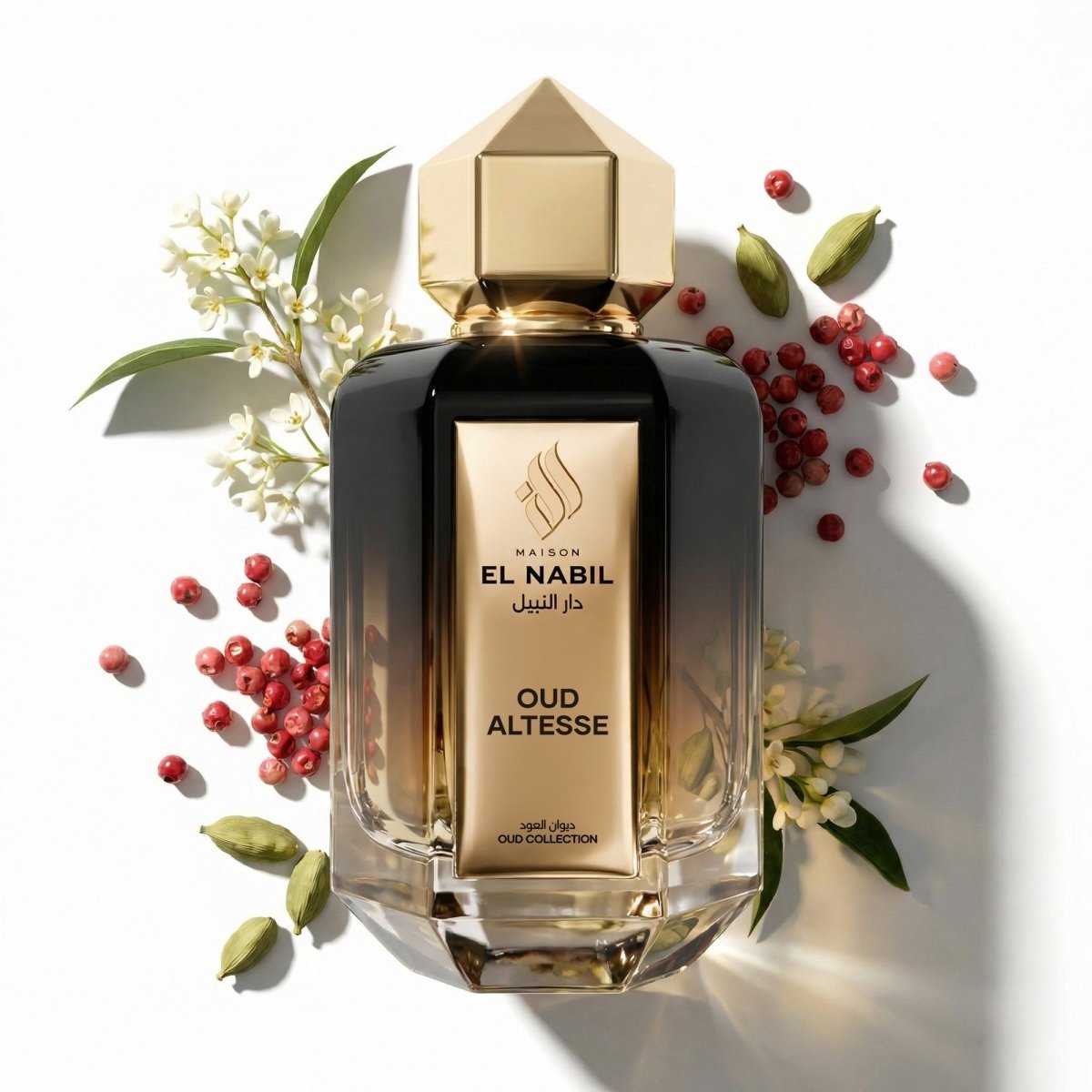 OUD ALTESSE - Maison El Nabil - Europe