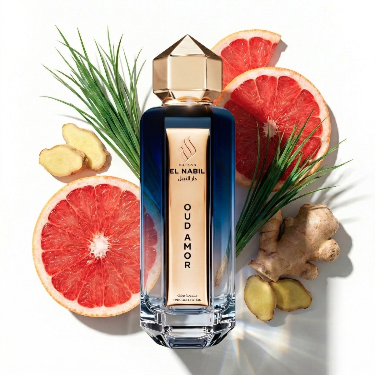 OUD AMOR - Maison El Nabil - Europe