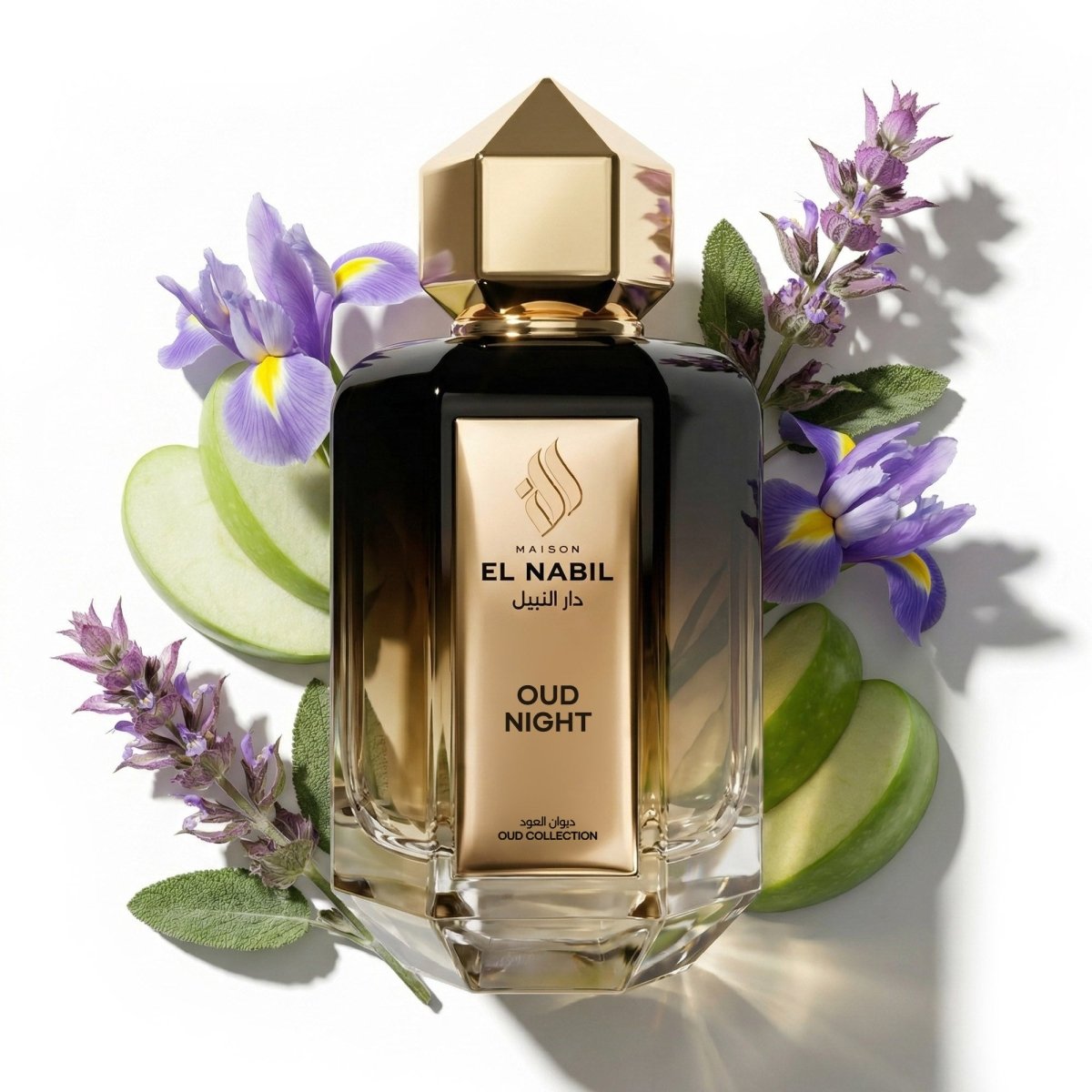 OUD NIGHT - Maison El Nabil - Europe