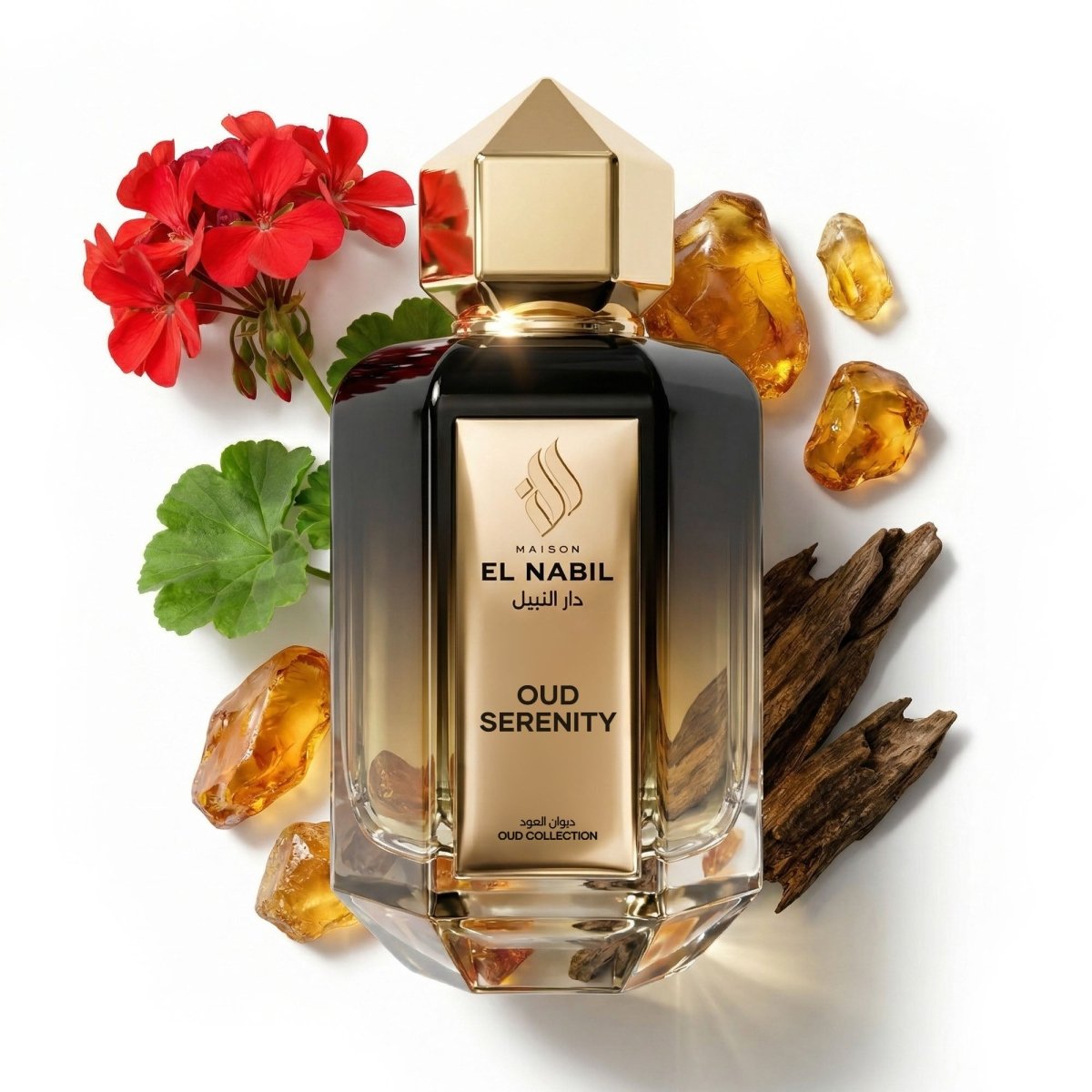 OUD SERENITY - Maison El Nabil - Europe