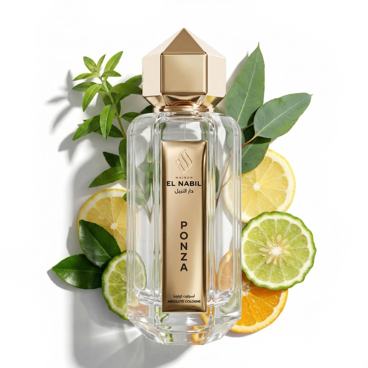 PONZA — Maison El Nabil