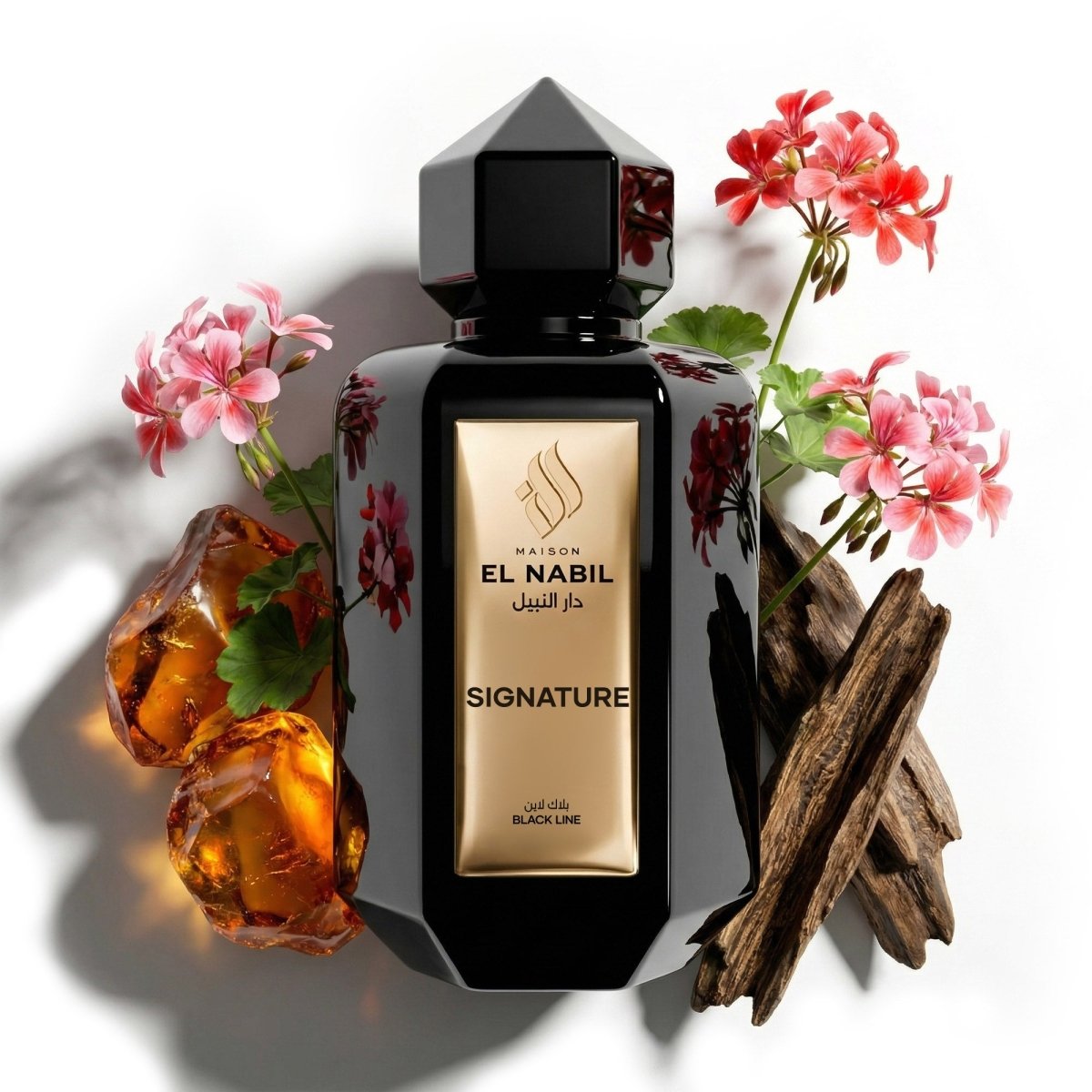 SIGNATURE — Maison El Nabil