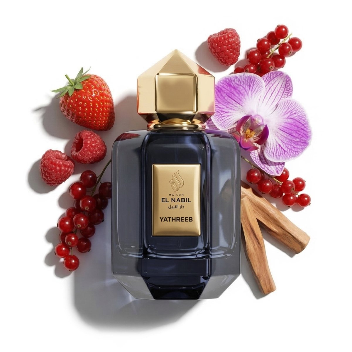YATHREEB - Maison El Nabil - Europe