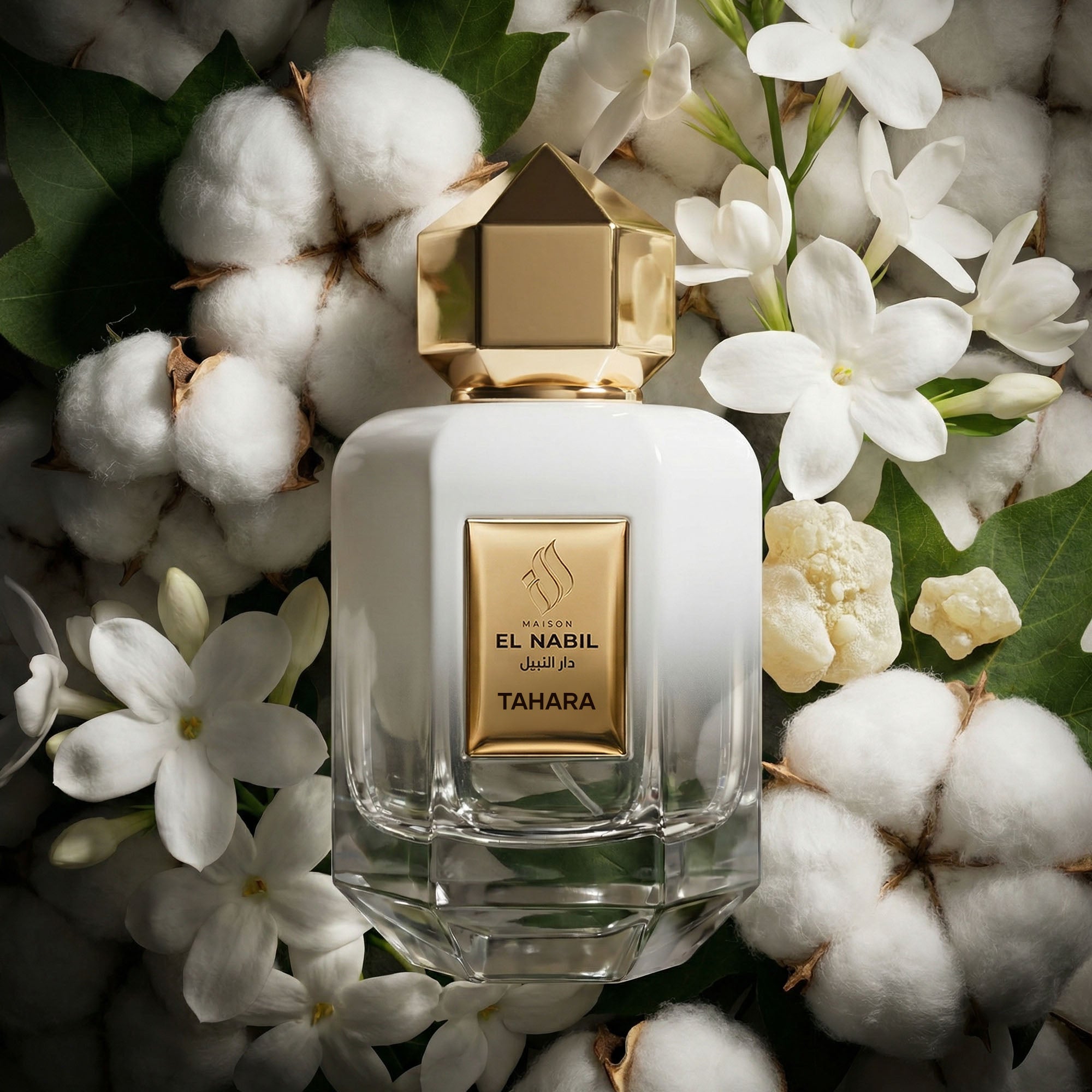 Tahara – Floral Musky Perfume for Women | Maison El Nabil
