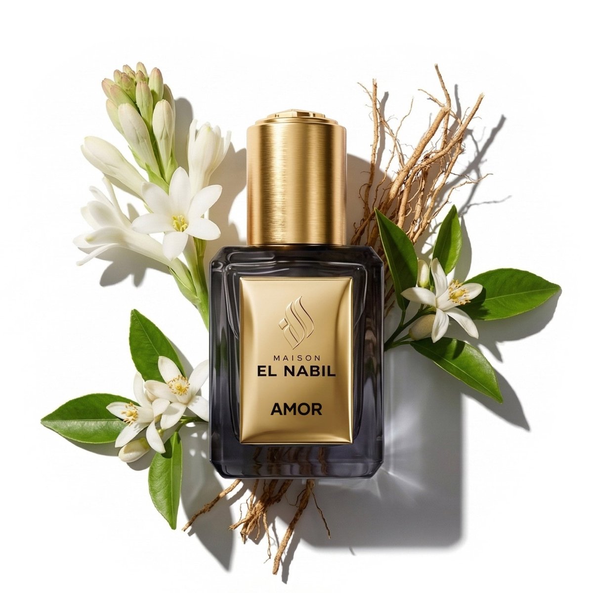 AMOR — Maison El Nabil