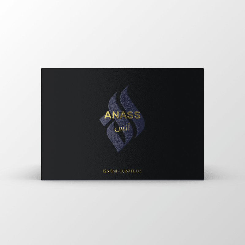 ANASS — Maison El Nabil