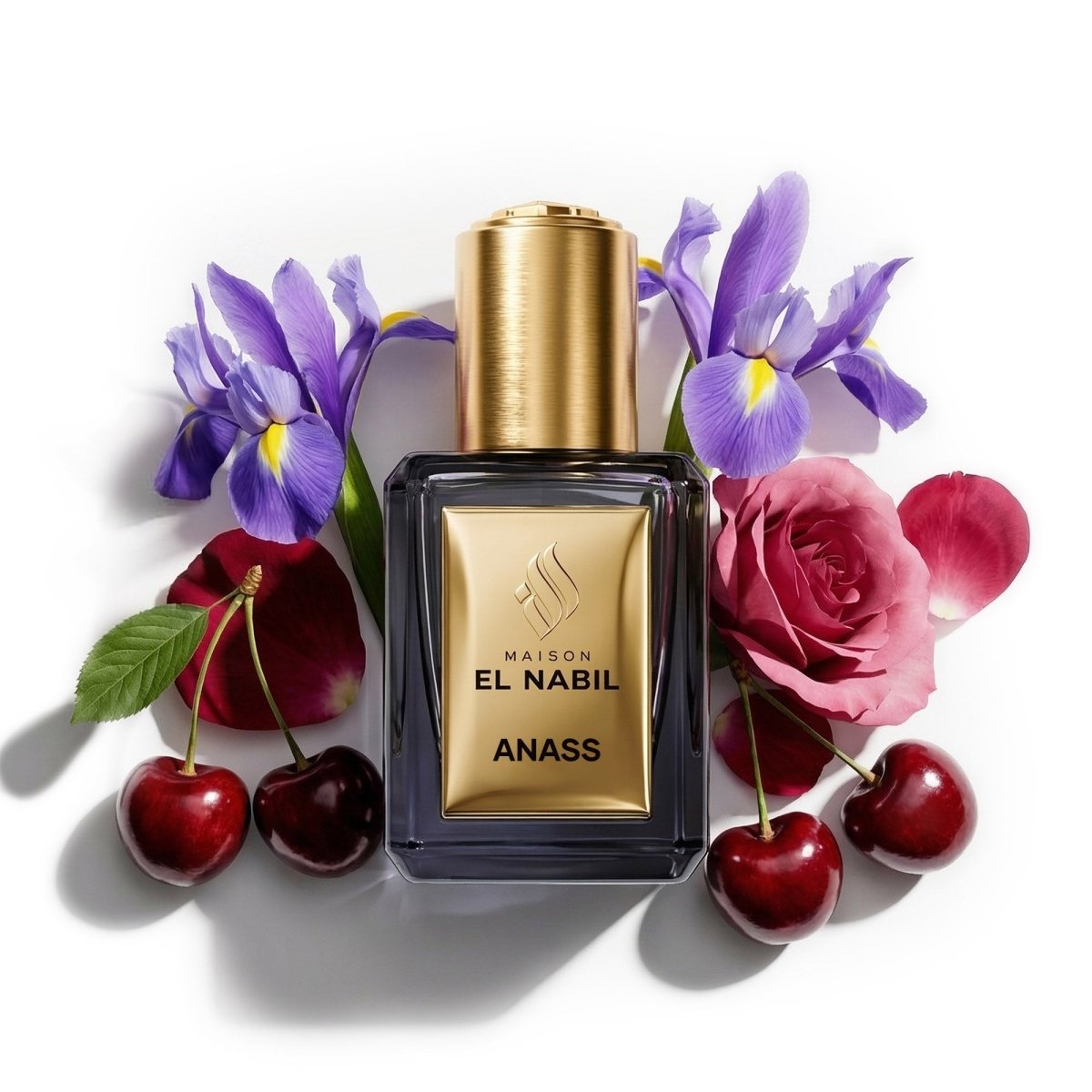 ANASS — Maison El Nabil