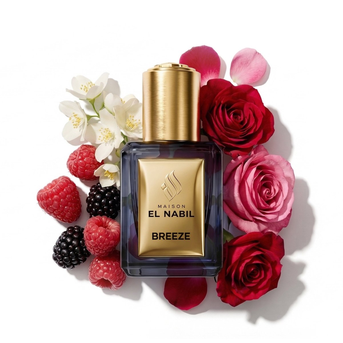 BREEZE — Maison El Nabil