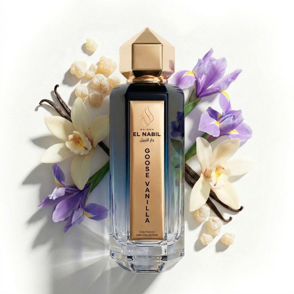 GOOSE VANILLA - Maison El Nabil - Europe