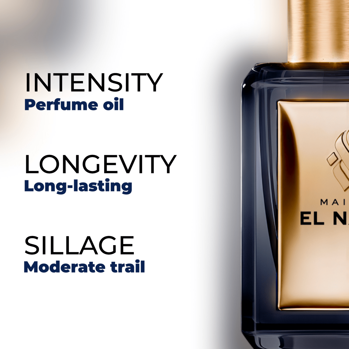 INTENSE — Maison El Nabil