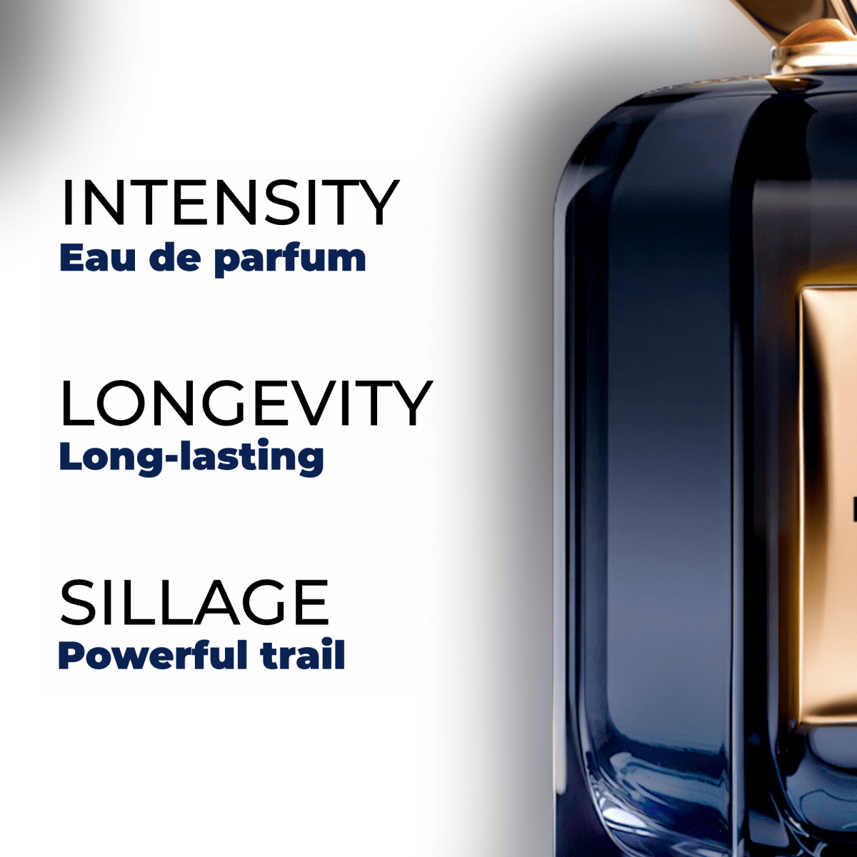 JOUMAYNA — Maison El Nabil