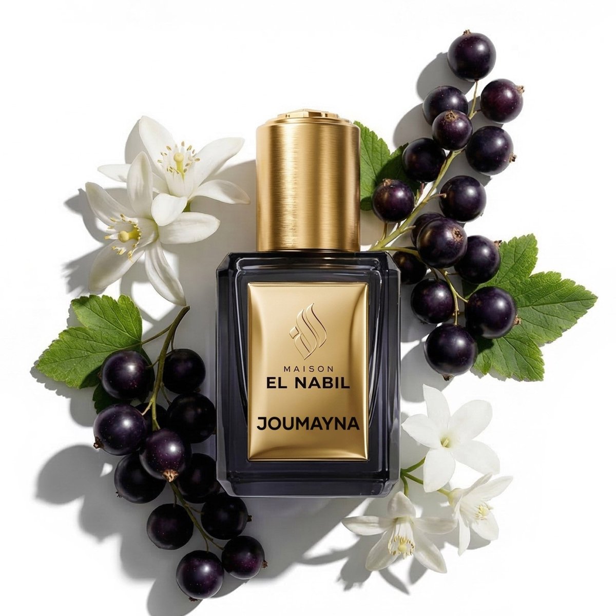 JOUMAYNA — Maison El Nabil
