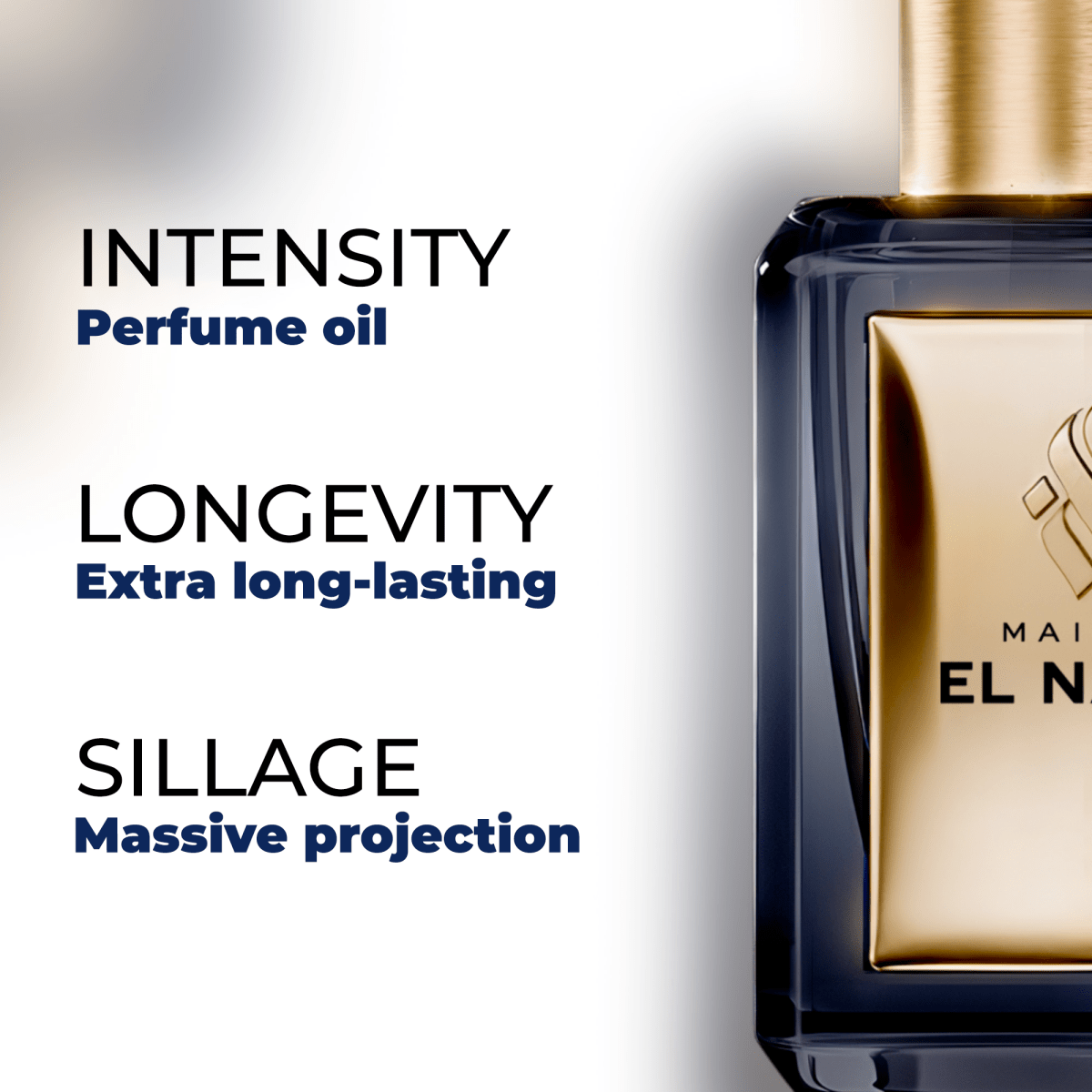 JUNGLE — Maison El Nabil