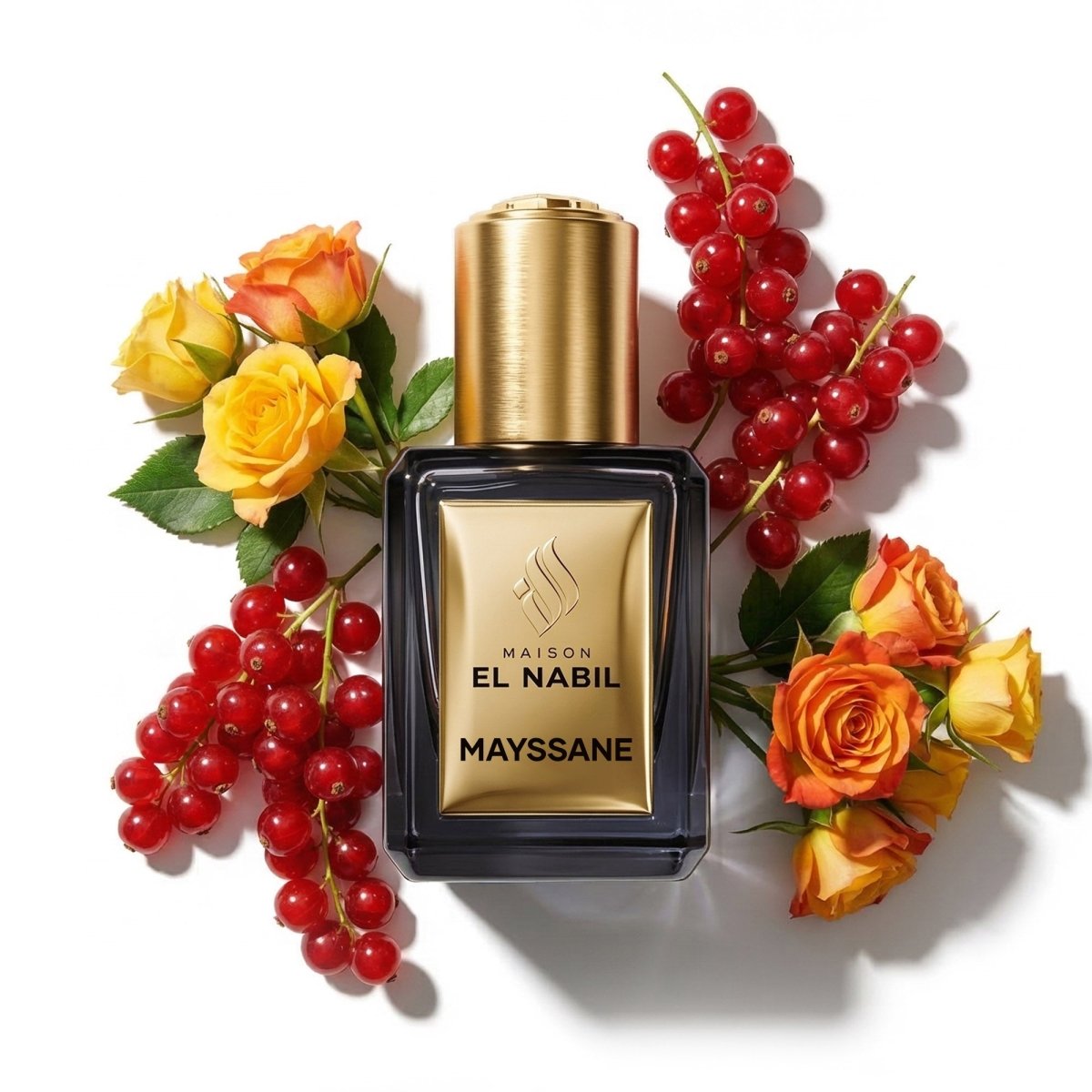 MAYSSANE — Maison El Nabil