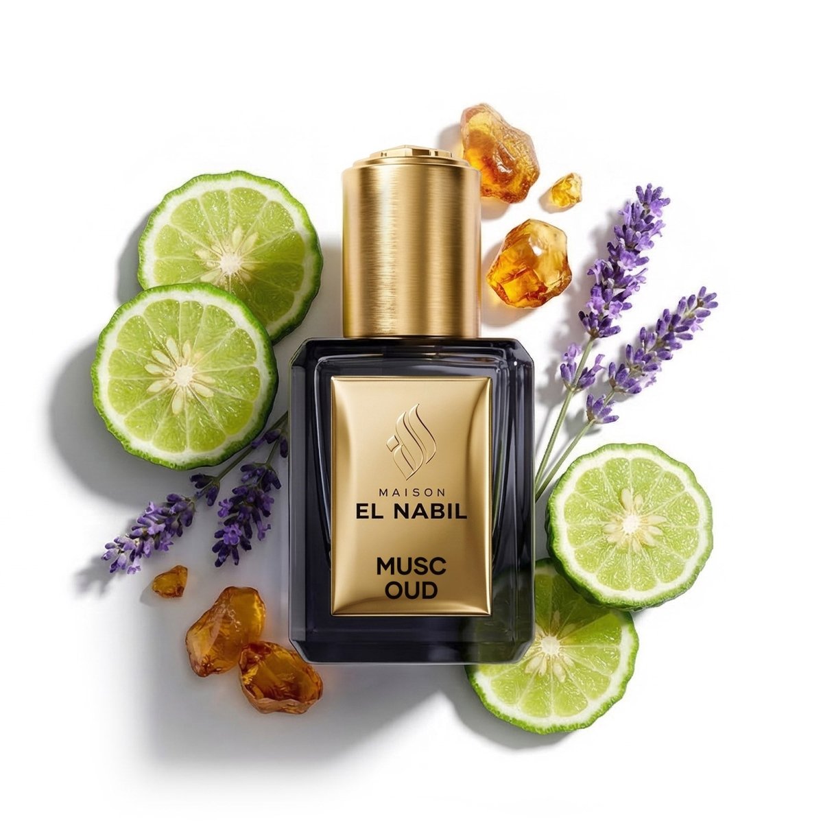 MUSC OUD — Maison El Nabil