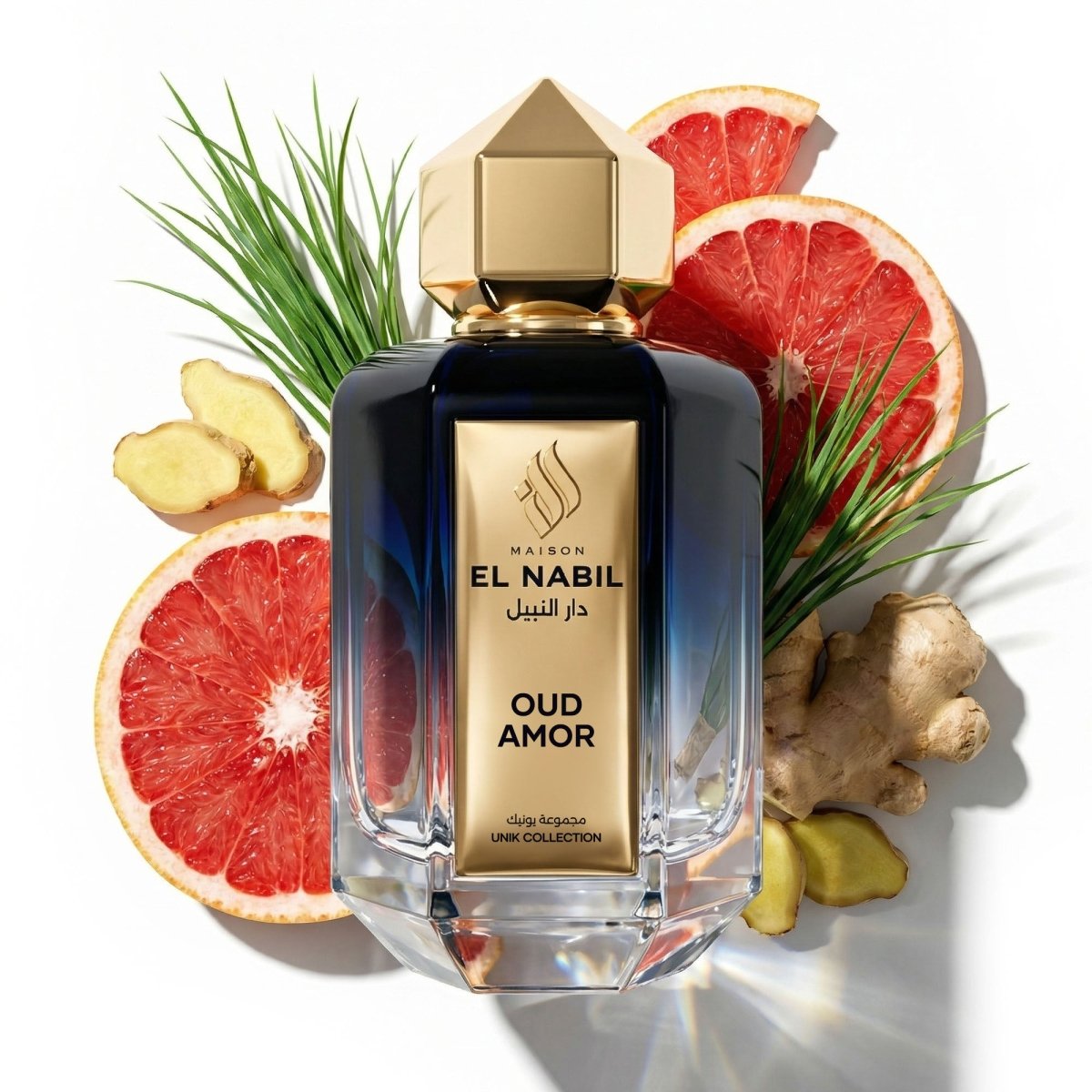 OUD AMOR - Maison El Nabil - Europe