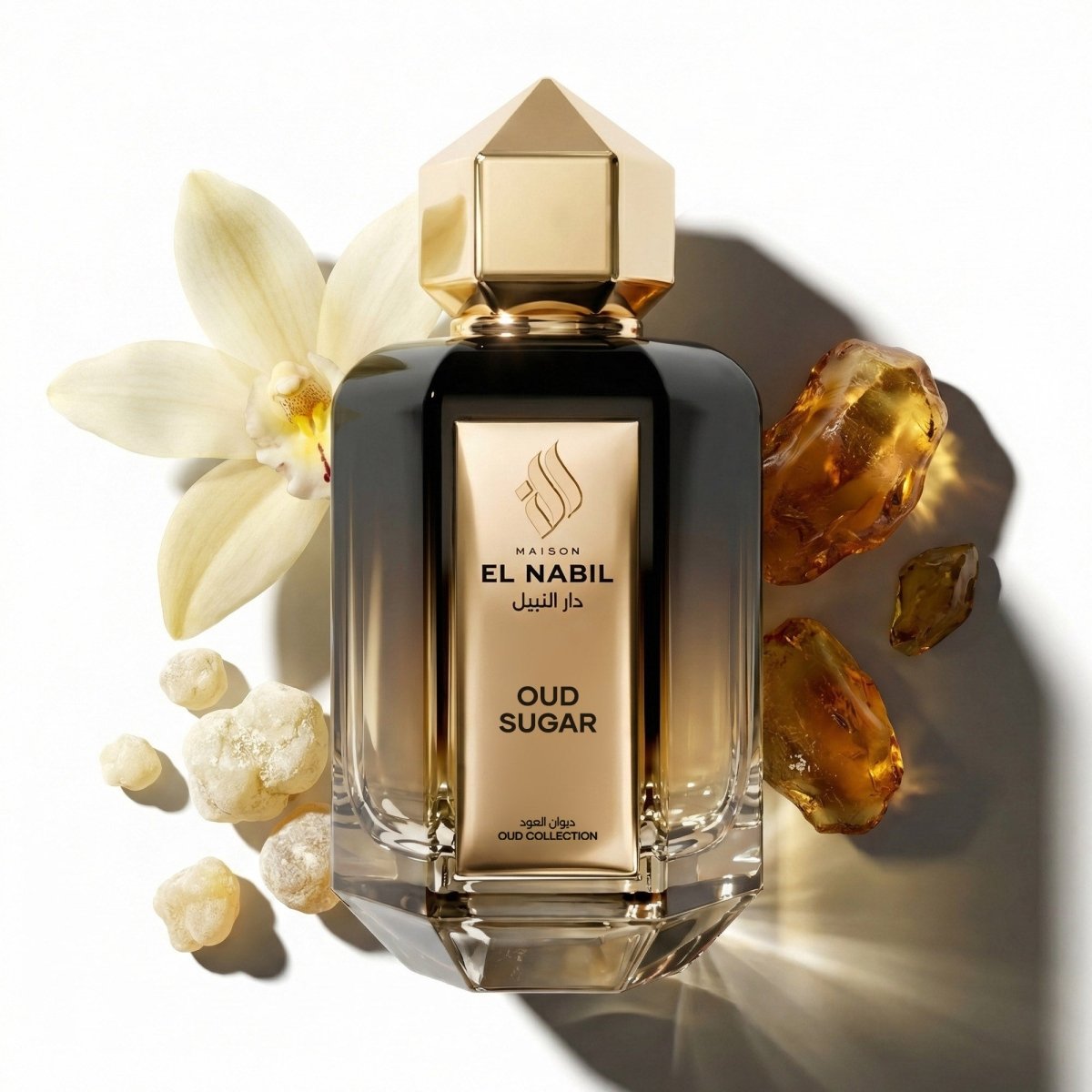 OUD SUGAR - Maison El Nabil - Europe
