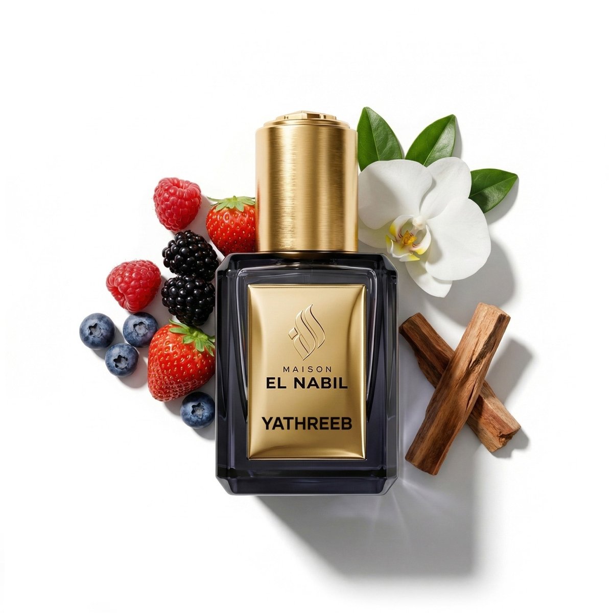 YATHREEB — Maison El Nabil